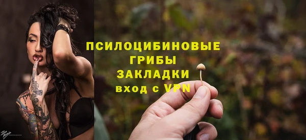 мяу мяу мука Баксан