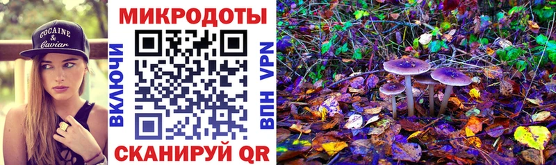 Псилоцибиновые грибы мицелий  МЕГА маркетплейс  Заинск 
